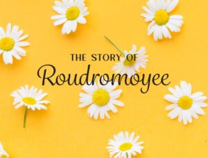 The Story Of Roudromoyee