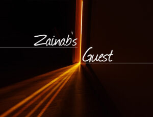 zainabs guest
